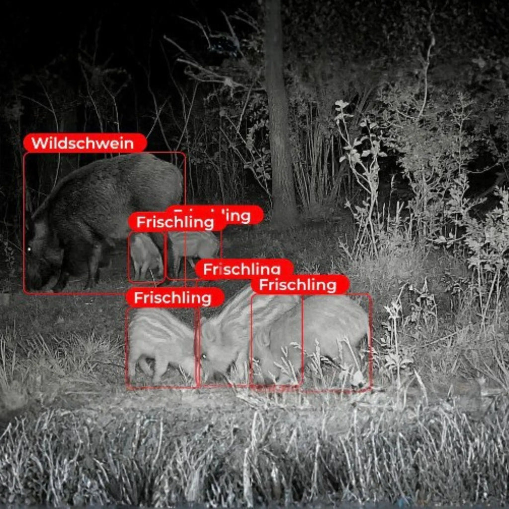 Medžioklės kamera „Wildkamera Modern Hunter 4G“